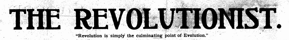 WHAT IS A REVOLUTIONIST visual data 2