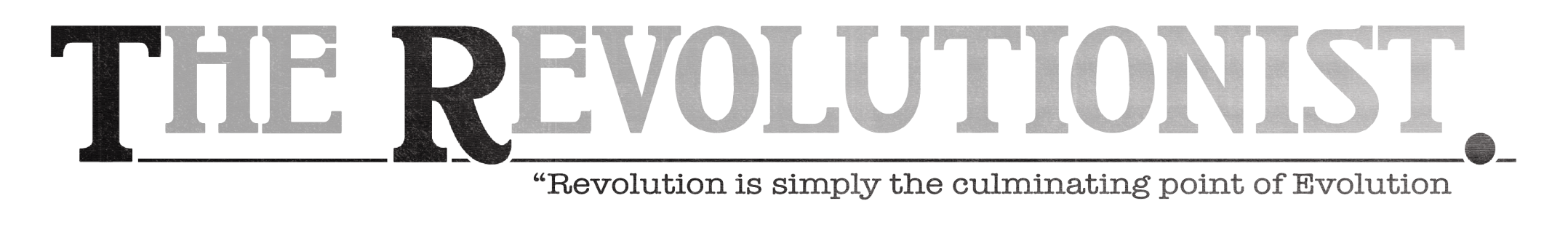 WHAT IS A REVOLUTIONIST visual data 3